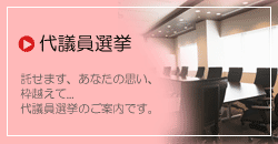 代議員選挙